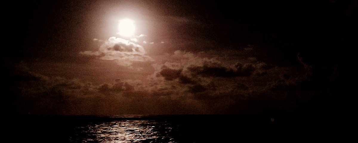 The moon rises over a black ocean. Watching. Listening.